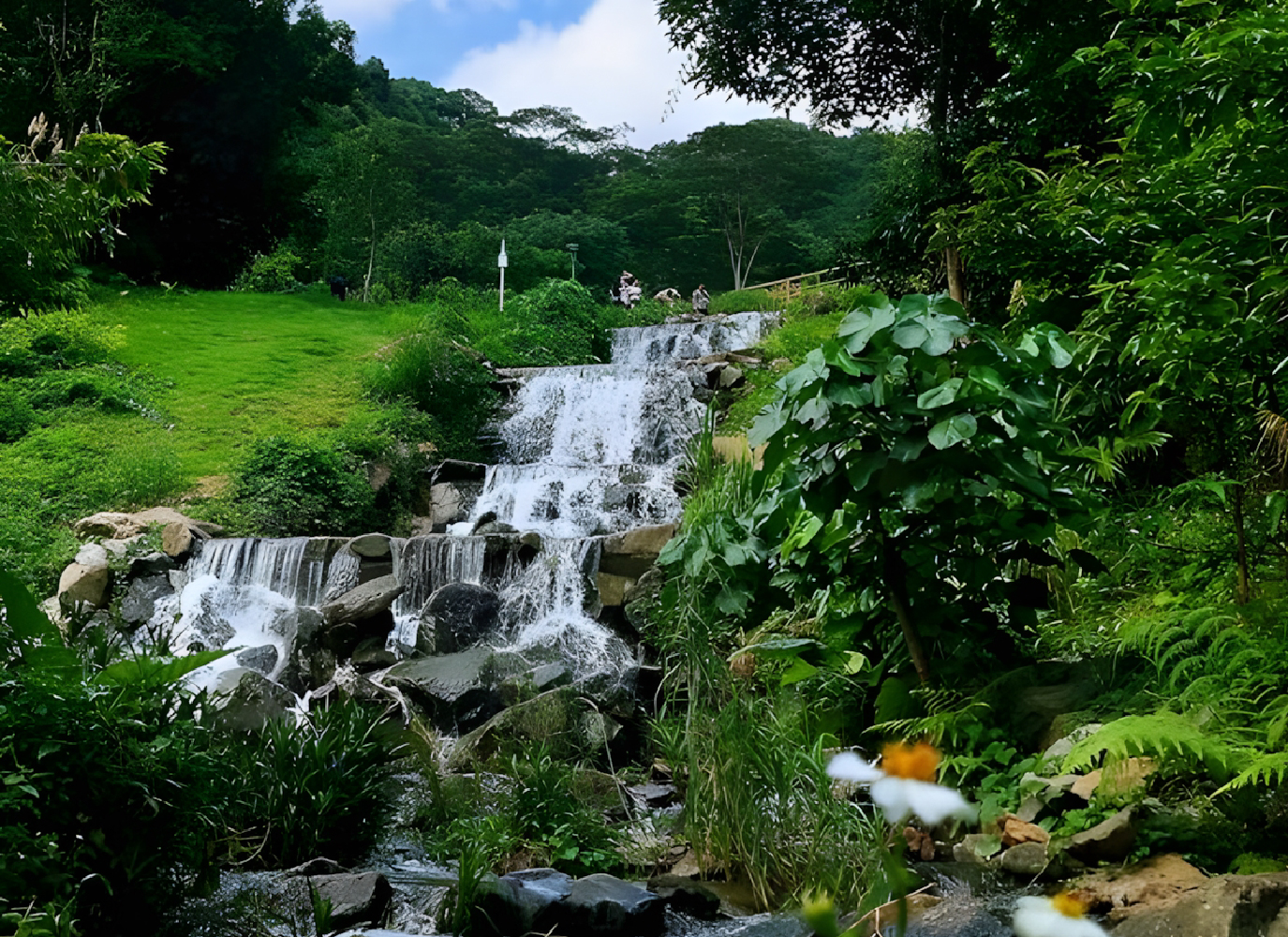 小溪