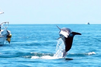 日本九州秘境之旅：天草海岛的温泉与风光，藏着不为人知的治愈力